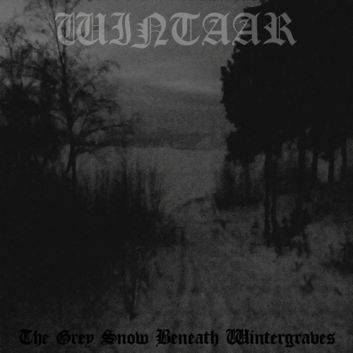 Wintaar : The Grey Snow Beneath Wintergraves